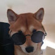 Avatar de Davidelmkies