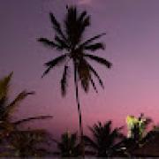 Avatar de MaximedeRanc