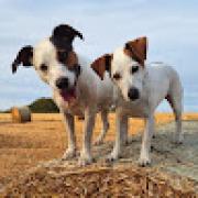 Avatar de MlanieCattey