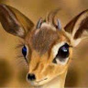 Avatar de saifbriki