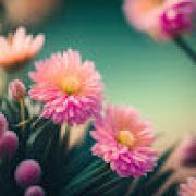 Avatar de fannymillas