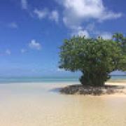 Avatar de AntoineVIAUD