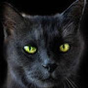 Avatar de melaniehatton