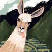 Avatar de WyllemBulin