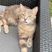 Avatar de LouannGousse