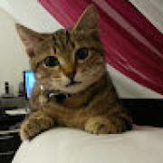 Avatar de SabrinaDESRIVIERES