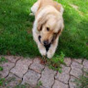 Avatar de StphaneRabusseau