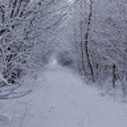 Avatar de benoitlievens