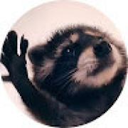 Avatar de julienmorcrette