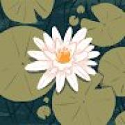 Avatar de MassioVoid