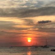 Avatar de EmmanuelleVin