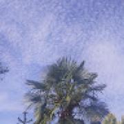 Avatar de StellaHubert