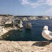 Avatar de NicolasBisiaux