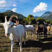 Avatar de ArnaudChary