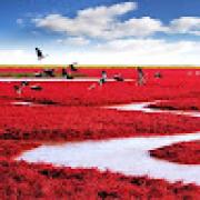 Avatar de audranvaraine