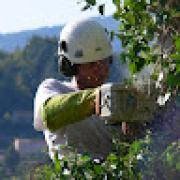 Avatar de NicolasRenoux