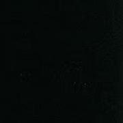 Avatar de MikoNguyenCromp