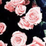 Avatar de MymiZELIA1