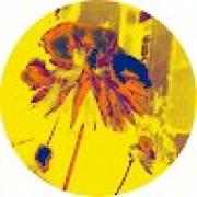 Avatar de loulou1965