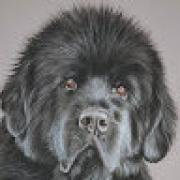 Avatar de GillesSeguin