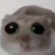 Avatar de AmbdillahIbrahime