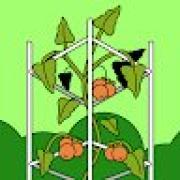 Avatar de MoussaHad