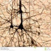 Avatar de ahmedabdallah