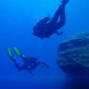 Avatar de malessardpascal