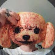 Avatar de MaxMuller1