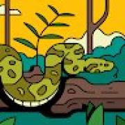 Avatar de FabricedeRiviere