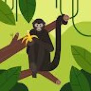 Avatar de lisabonnet1