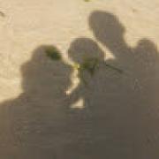 Avatar de AnneLiseJean