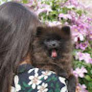 Avatar de ClineCOTTE