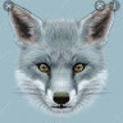 Avatar de 228