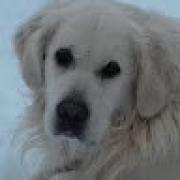 Avatar de Christine6