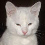 Avatar de OlivierNeyret