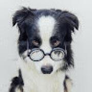 Avatar de NelsonBeaudequin