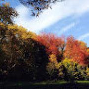 Avatar de laurentCROCE