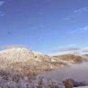 Avatar de forgeto321