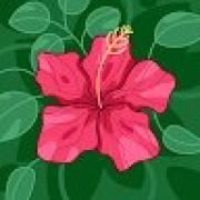Avatar de GwenaelleNiclin
