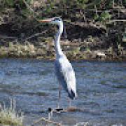 Avatar de MalleMartinez