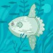 Avatar de SandyZrcher