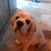 Avatar de PeterWELOBOB