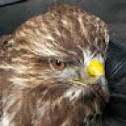 Avatar de PhilippeRosay