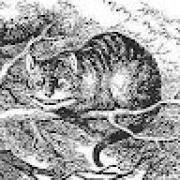 Avatar de AlineBruier