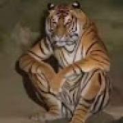 Avatar de mathiasribardiere