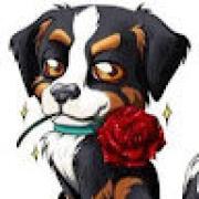 Avatar de LionelBruneau