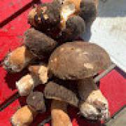 Avatar de ChantalGonzalezlayma