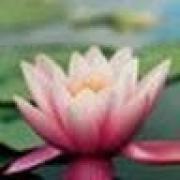 Avatar de ClaudeRochette