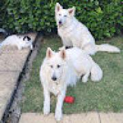 Avatar de EdithLeBarazer